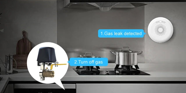 <h2><strong>Gas Leak Detector KIT</strong></h2>