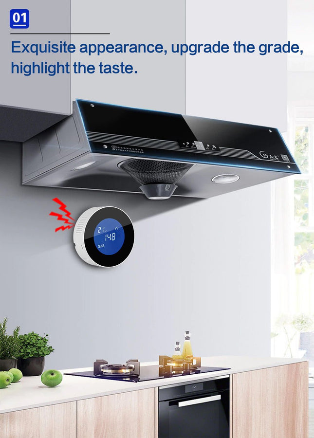 Digital Screen Gas Sensor - Space Smart Solutions