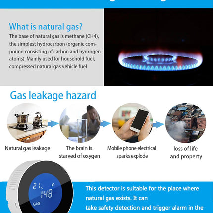 Digital Screen Gas Sensor - Space Smart Solutions