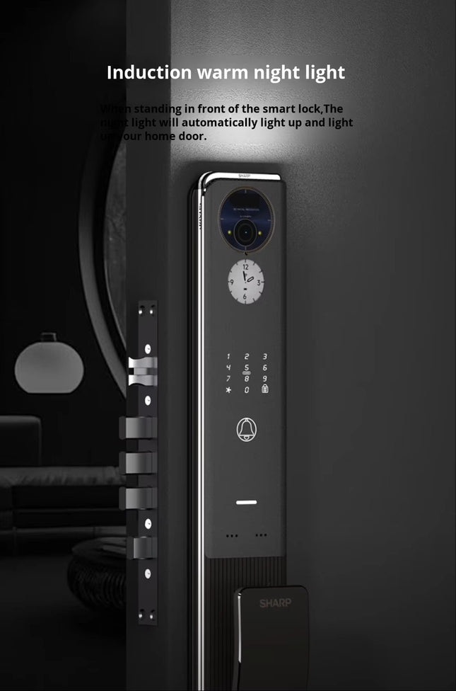 Sharp H4-FV