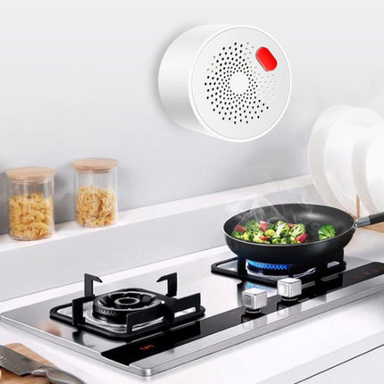 Plug - in Gas Sensor - Space Smart Solutions
