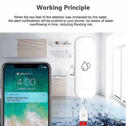 Water Leakage Sensor - Space Smart Solutions